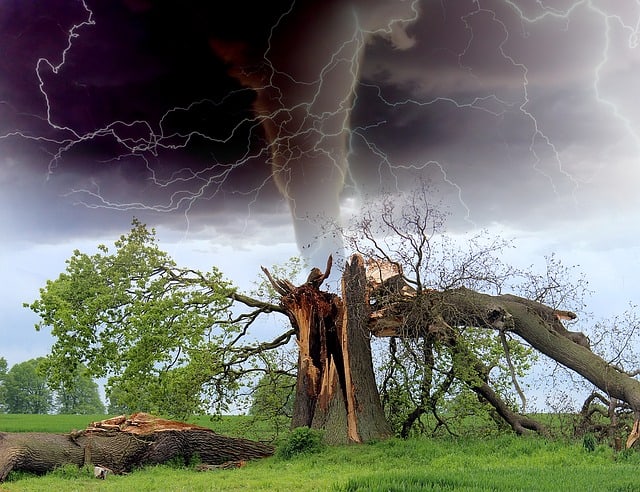  effekter av tornadoer på miljøet 3